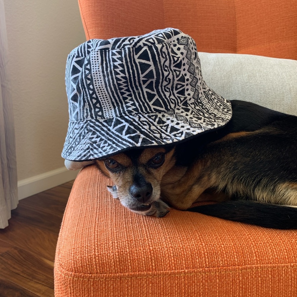 ZUMIEZ PATTERNED BUCKET HAT